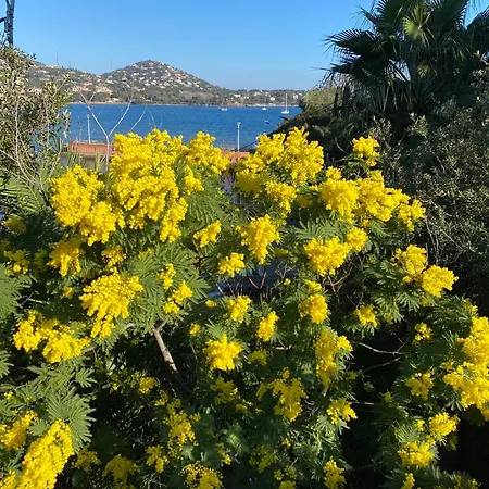 Climatise Vue A Proximite De La דירה